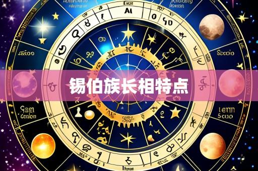 锡伯族长相特点