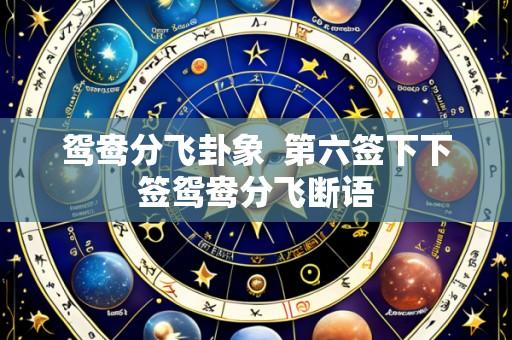 鸳鸯分飞卦象  第六签下下签鸳鸯分飞断语