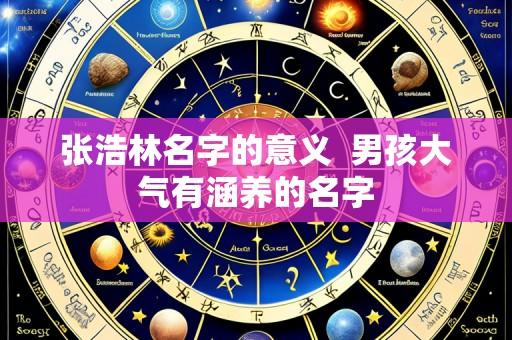 张浩林名字的意义  男孩大气有涵养的名字