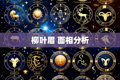 柳叶眉 面相分析
