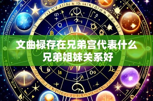 文曲禄存在兄弟宫代表什么 兄弟姐妹关系好