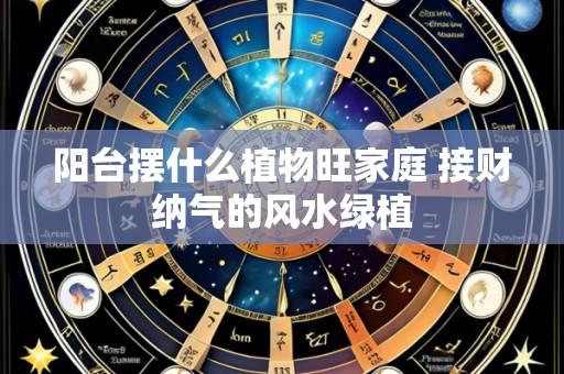 阳台摆什么植物旺家庭 接财纳气的风水绿植