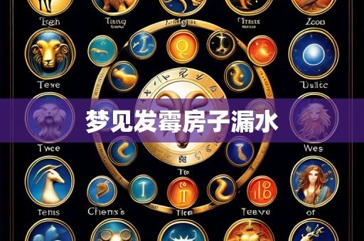 梦见发霉房子漏水