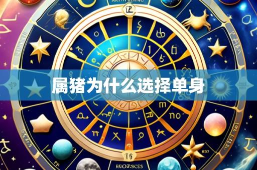 属猪为什么选择单身