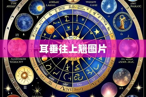 耳垂往上翘图片