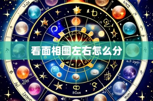 看面相图左右怎么分