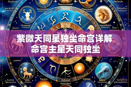 紫微天同星独坐命宫详解 命宫主星天同独坐