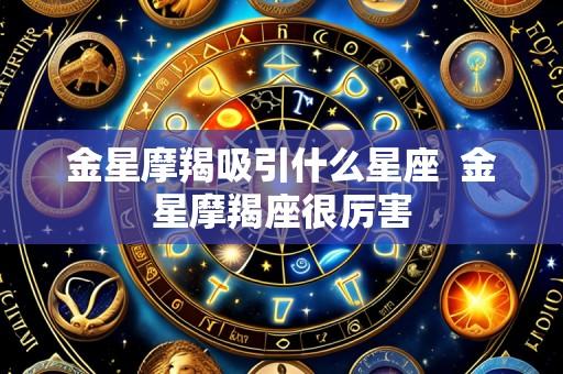 金星摩羯吸引什么星座  金星摩羯座很厉害