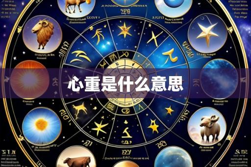 心重是什么意思