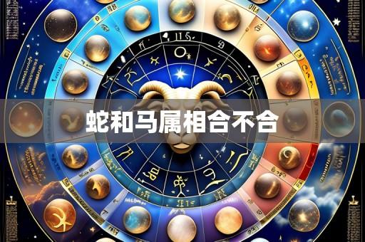 蛇和马属相合不合
