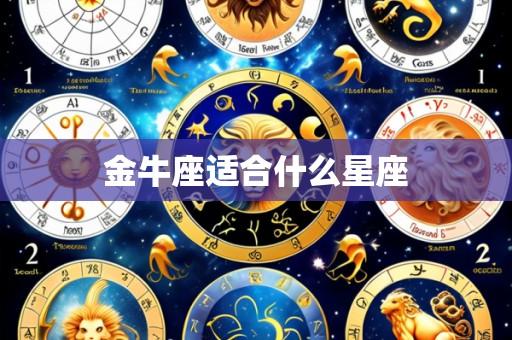 金牛座适合什么星座