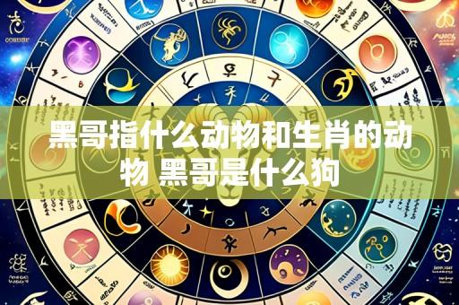黑哥指什么动物和生肖的动物 黑哥是什么狗