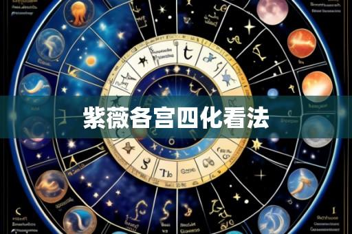 紫薇各宫四化看法