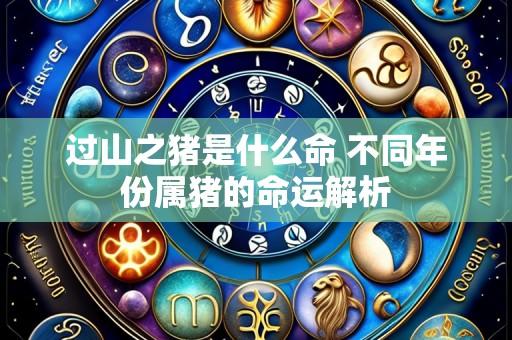 过山之猪是什么命 不同年份属猪的命运解析