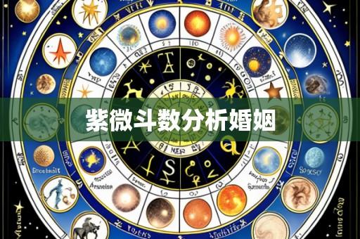 紫微斗数分析婚姻