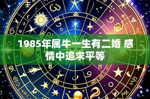 1985年属牛一生有二婚 感情中追求平等