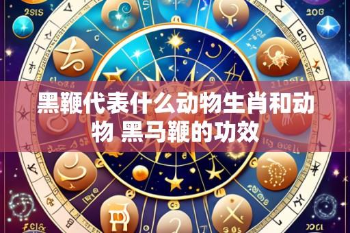 黑鞭代表什么动物生肖和动物 黑马鞭的功效