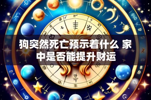 狗突然死亡预示着什么 家中是否能提升财运
