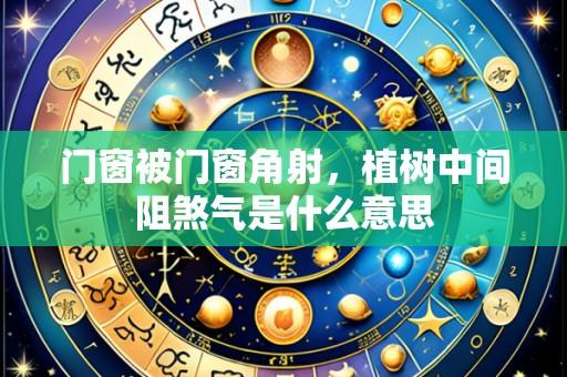 门窗被门窗角射，植树中间阻煞气是什么意思