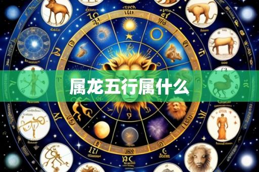 属龙五行属什么