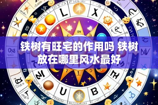 铁树有旺宅的作用吗 铁树放在哪里风水最好