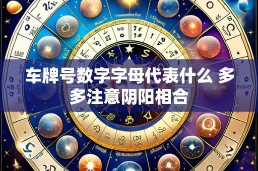 车牌号数字字母代表什么 多多注意阴阳相合