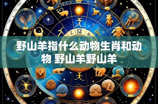 野山羊指什么动物生肖和动物 野山羊野山羊