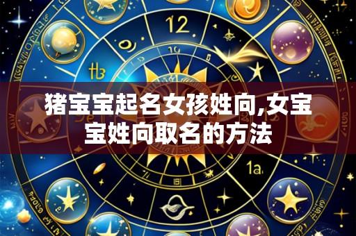 猪宝宝起名女孩姓向,女宝宝姓向取名的方法