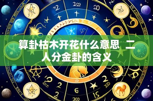 算卦枯木开花什么意思  二人分金卦的含义