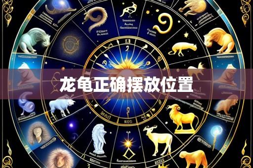 龙龟正确摆放位置