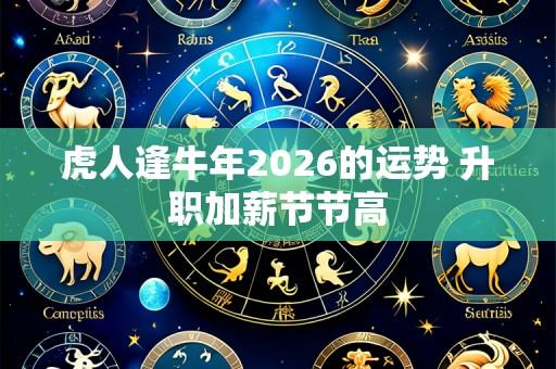 虎人逢牛年2026的运势 升职加薪节节高