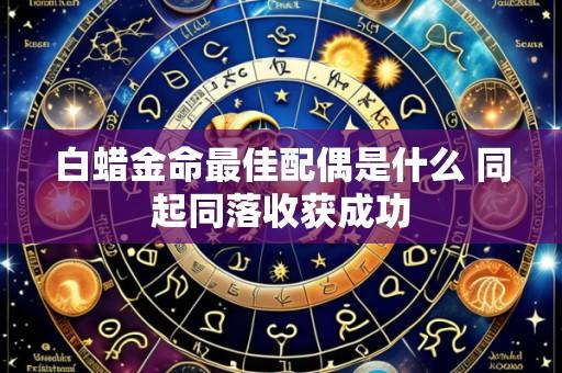 白蜡金命最佳配偶是什么 同起同落收获成功