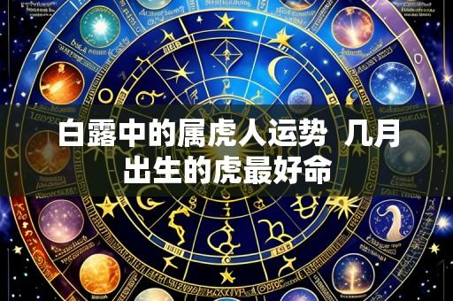 白露中的属虎人运势 几月出生的虎最好命
