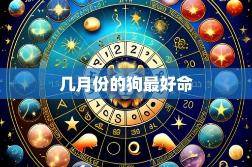 几月份的狗最好命