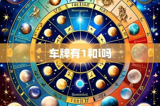 车牌有1和i吗