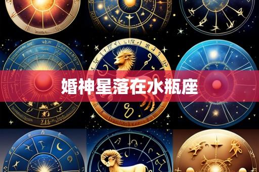 婚神星落在水瓶座
