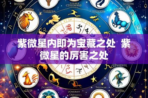 紫微星内即为宝藏之处 紫微星的厉害之处