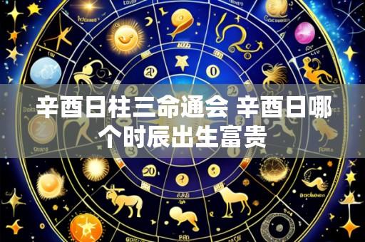 辛酉日柱三命通会 辛酉日哪个时辰出生富贵