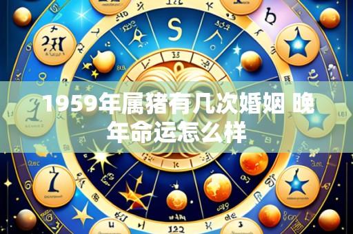 1959年属猪有几次婚姻 晚年命运怎么样