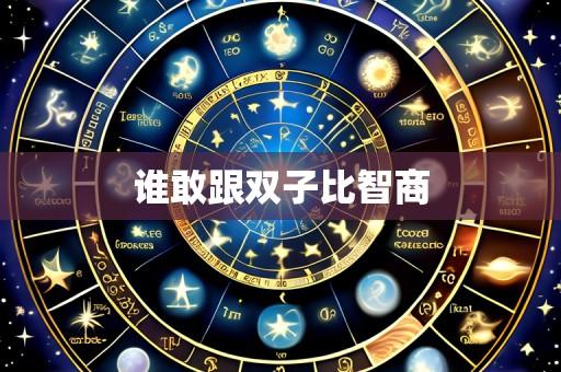 谁敢跟双子比智商