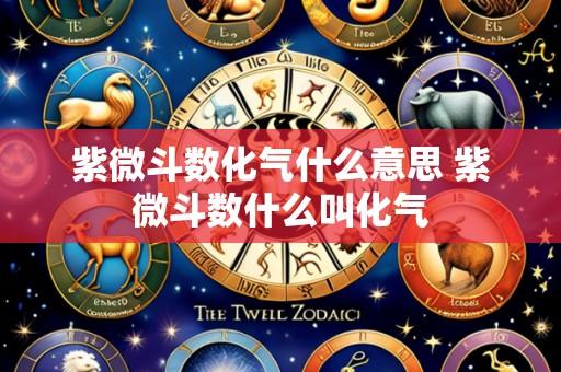 紫微斗数化气什么意思 紫微斗数什么叫化气