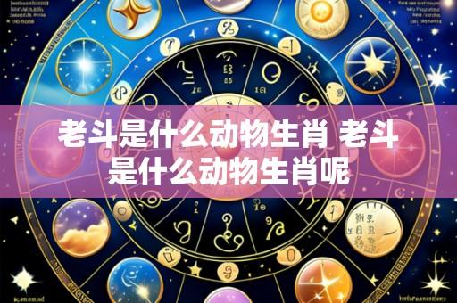 老斗是什么动物生肖 老斗是什么动物生肖呢