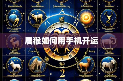 属猴如何用手机开运