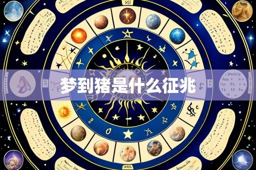 梦到猪是什么征兆