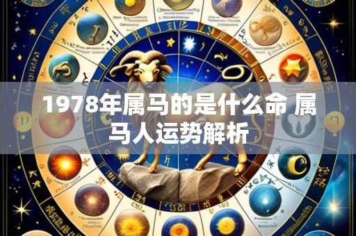 1978年属马的是什么命 属马人运势解析