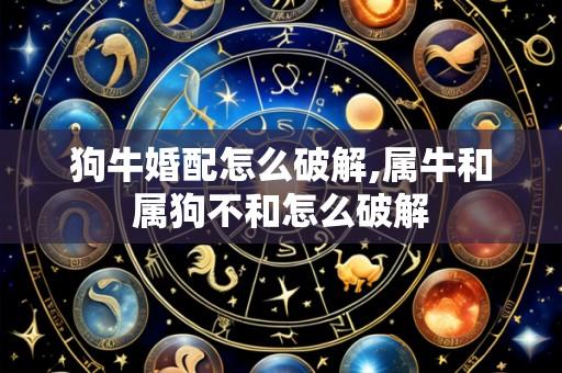 狗牛婚配怎么破解,属牛和属狗不和怎么破解