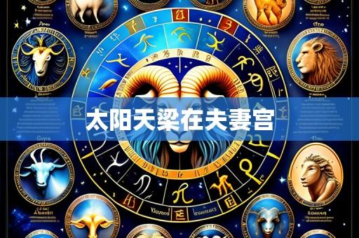 太阳天梁在夫妻宫