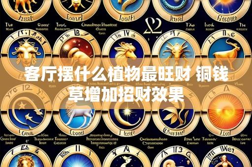 客厅摆什么植物最旺财 铜钱草增加招财效果