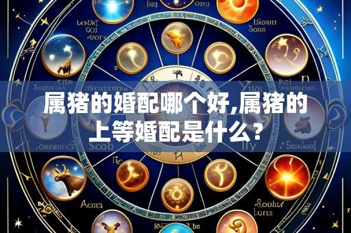 属猪的婚配哪个好,属猪的上等婚配是什么？