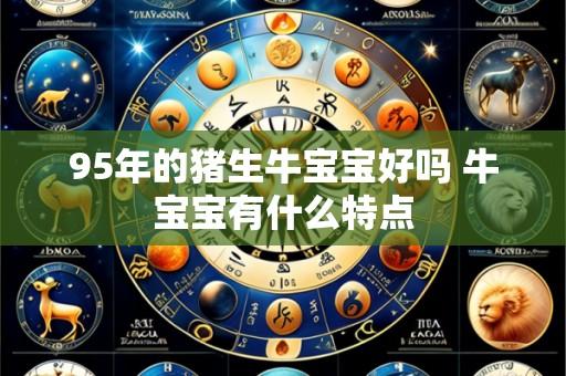 95年的猪生牛宝宝好吗 牛宝宝有什么特点